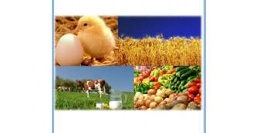 Сведения о производстве сельскохозяйственной продукции и наличии скота и птицы в сельскохозяйственных организациях за январь 2019 года